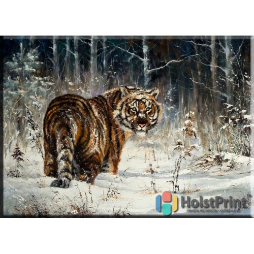 Картинки Тигра, , 168.00 грн., JVV777028, , Картины Животных (Репродукции картин)